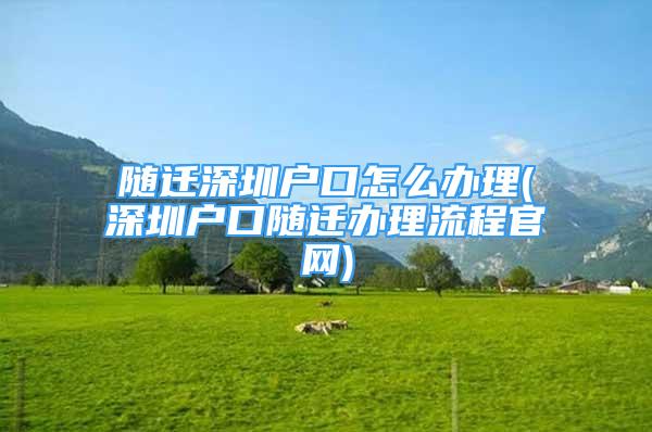 隨遷深圳戶口怎么辦理(深圳戶口隨遷辦理流程官網(wǎng))