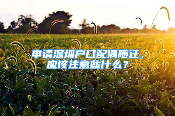 申請深圳戶口配偶隨遷，應(yīng)該注意些什么？