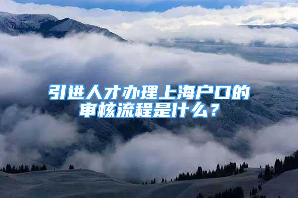 引進(jìn)人才辦理上海戶口的審核流程是什么？