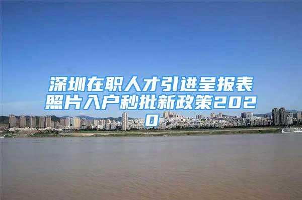 深圳在職人才引進呈報表照片入戶秒批新政策2020