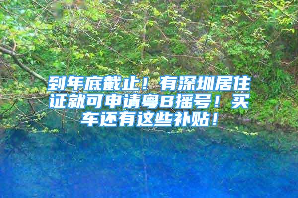 到年底截止！有深圳居住證就可申請(qǐng)粵B搖號(hào)！買(mǎi)車(chē)還有這些補(bǔ)貼！