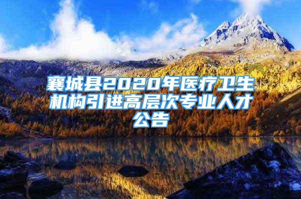 襄城縣2020年醫(yī)療衛(wèi)生機構(gòu)引進高層次專業(yè)人才公告