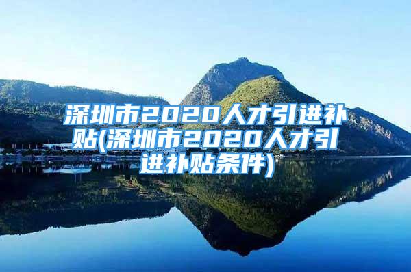 深圳市2020人才引進補貼(深圳市2020人才引進補貼條件)