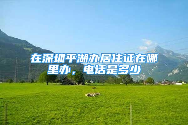 在深圳平湖辦居住證在哪里辦，電話是多少