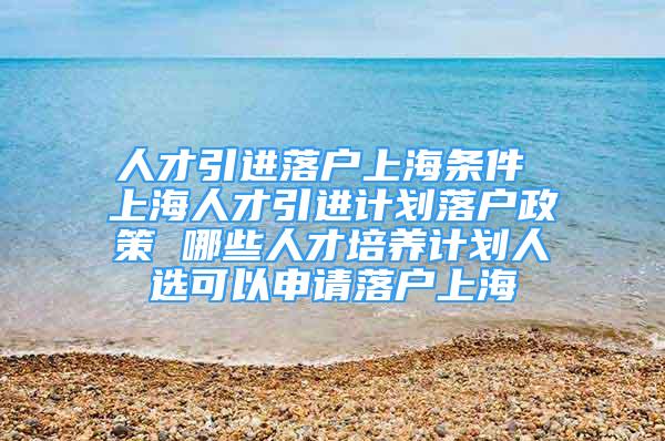 人才引進(jìn)落戶上海條件 上海人才引進(jìn)計(jì)劃落戶政策 哪些人才培養(yǎng)計(jì)劃人選可以申請落戶上海