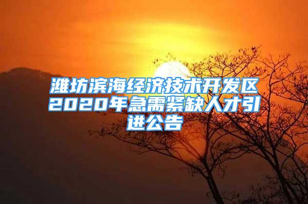 濰坊濱海經(jīng)濟技術(shù)開發(fā)區(qū)2020年急需緊缺人才引進公告