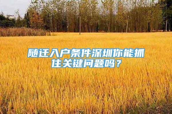 隨遷入戶條件深圳你能抓住關(guān)鍵問題嗎？