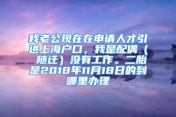 我老公現(xiàn)在在申請(qǐng)人才引進(jìn)上海戶口，我是配偶（ 隨遷）沒(méi)有工作。二胎是2018年11月18日的到哪里辦理