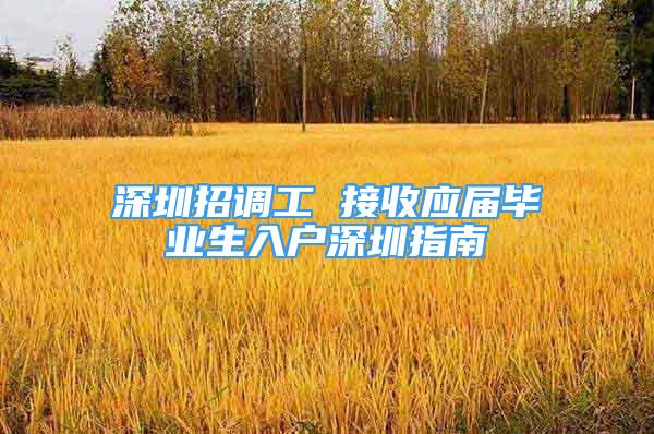 深圳招調工 接收應屆畢業(yè)生入戶深圳指南