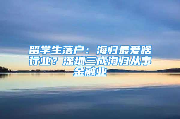 留學(xué)生落戶：海歸最愛啥行業(yè)？深圳三成海歸從事金融業(yè)