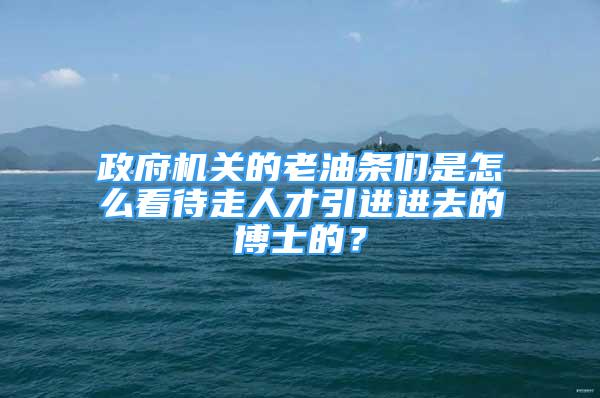 政府機關(guān)的老油條們是怎么看待走人才引進進去的博士的？