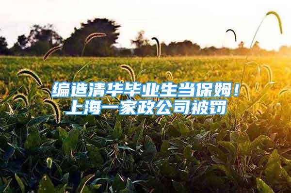 編造清華畢業(yè)生當(dāng)保姆！上海一家政公司被罰