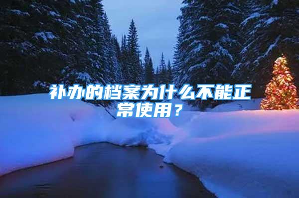 補(bǔ)辦的檔案為什么不能正常使用？