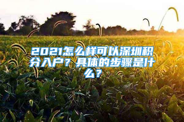 2021怎么樣可以深圳積分入戶？具體的步驟是什么？