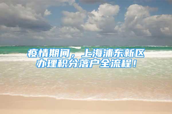 疫情期間，上海浦東新區(qū)辦理積分落戶全流程！