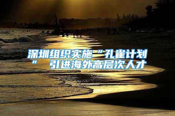 深圳組織實(shí)施“孔雀計(jì)劃” 引進(jìn)海外高層次人才