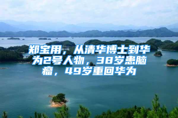 鄭寶用，從清華博士到華為2號(hào)人物，38歲患腦瘤，49歲重回華為