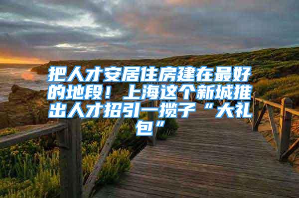 把人才安居住房建在最好的地段！上海這個新城推出人才招引一攬子“大禮包”