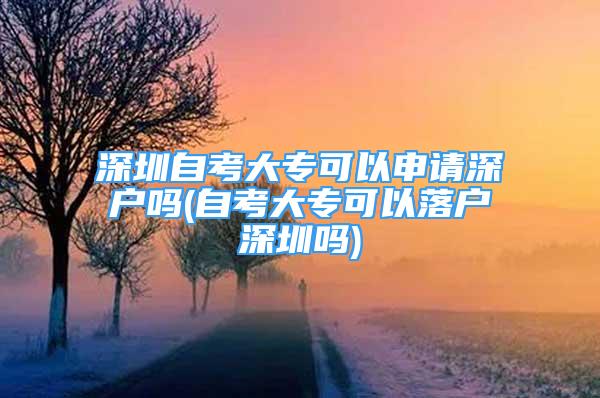 深圳自考大?？梢陨暾埳顟魡?自考大專可以落戶深圳嗎)