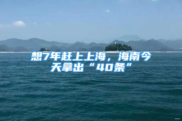 想7年趕上上海，海南今天拿出“40條”