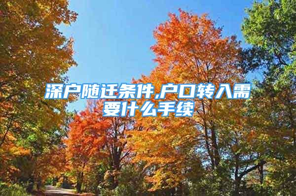 深戶隨遷條件,戶口轉入需要什么手續(xù)