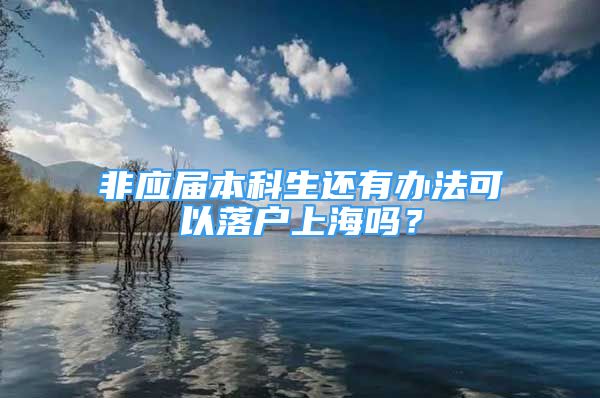 非應(yīng)屆本科生還有辦法可以落戶(hù)上海嗎？