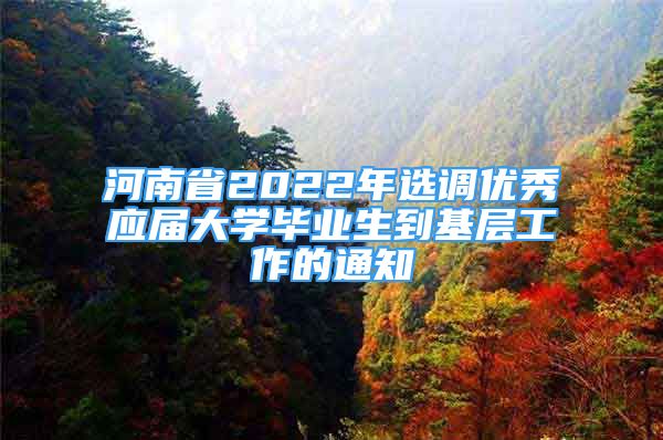 河南省2022年選調(diào)優(yōu)秀應(yīng)屆大學(xué)畢業(yè)生到基層工作的通知