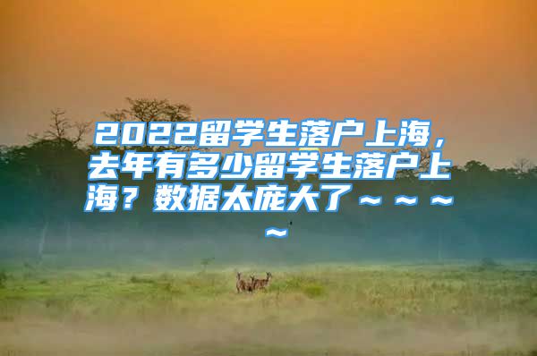 2022留學(xué)生落戶上海，去年有多少留學(xué)生落戶上海？數(shù)據(jù)太龐大了～～～～