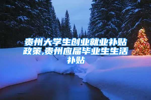 貴州大學(xué)生創(chuàng)業(yè)就業(yè)補(bǔ)貼政策,貴州應(yīng)屆畢業(yè)生生活補(bǔ)貼