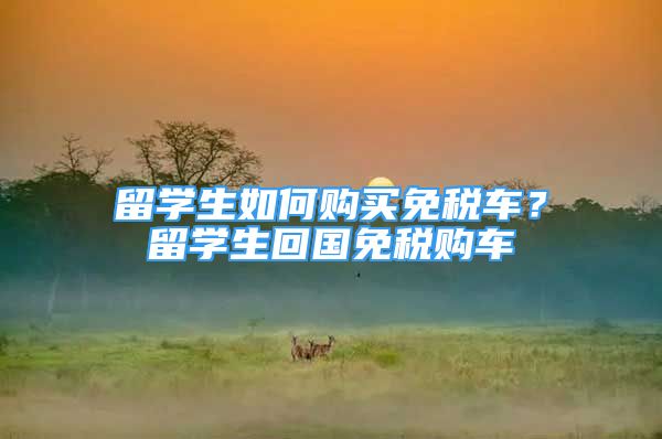 留學(xué)生如何購(gòu)買(mǎi)免稅車(chē)？留學(xué)生回國(guó)免稅購(gòu)車(chē)