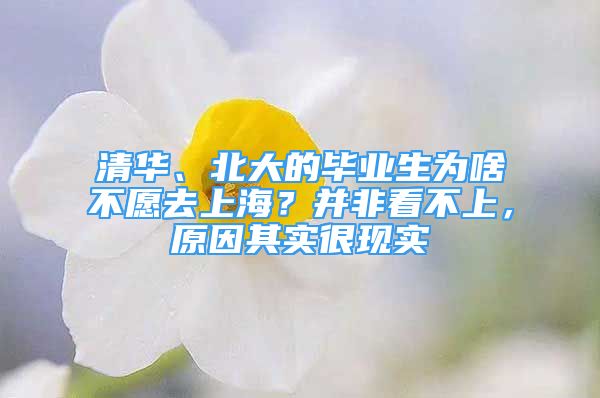 清華、北大的畢業(yè)生為啥不愿去上海？并非看不上，原因其實(shí)很現(xiàn)實(shí)