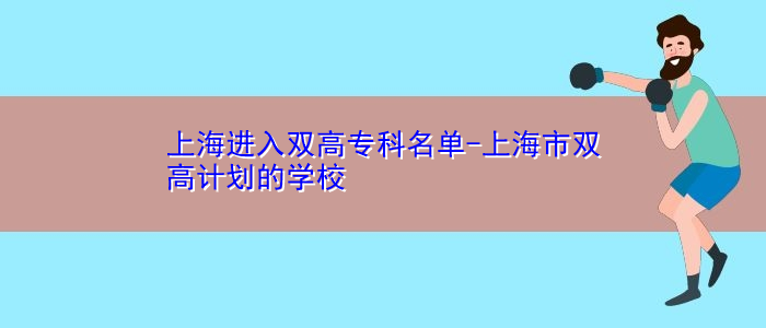 上海進(jìn)入雙高?？泼麊?上海市雙高計(jì)劃的學(xué)校