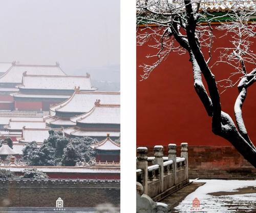 重磅！國內(nèi)突然傳來好消息！這些留學(xué)生可直接落戶上海！澳洲多所大學(xué)上榜！