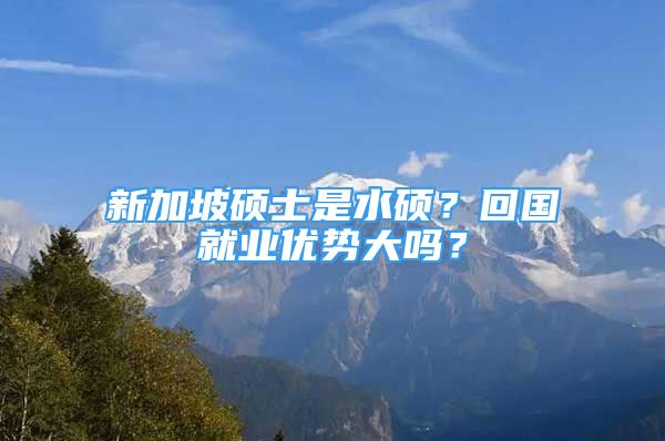 新加坡碩士是水碩？回國(guó)就業(yè)優(yōu)勢(shì)大嗎？