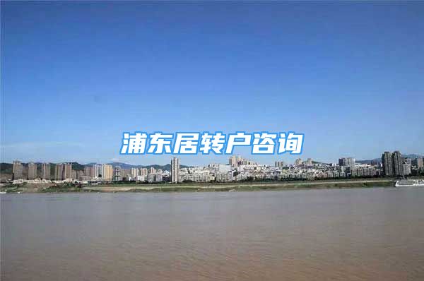 浦東居轉(zhuǎn)戶咨詢