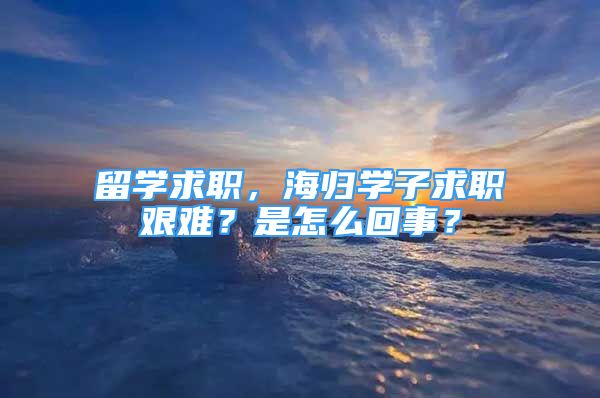 留學求職，海歸學子求職艱難？是怎么回事？