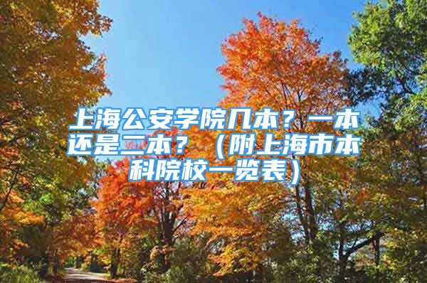 上海公安學院幾本？一本還是二本？（附上海市本科院校一覽表）