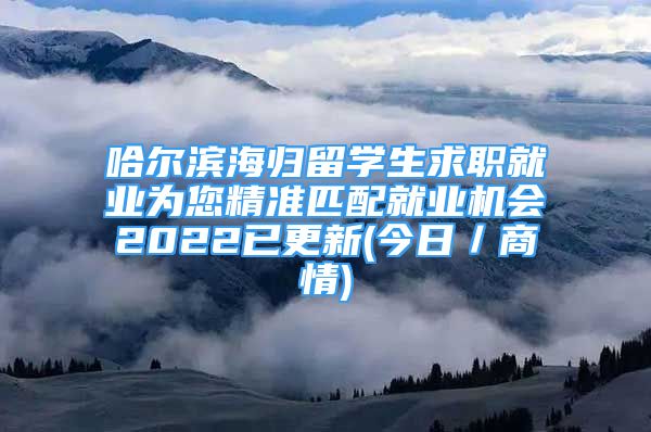 哈爾濱海歸留學生求職就業(yè)為您精準匹配就業(yè)機會2022已更新(今日／商情)