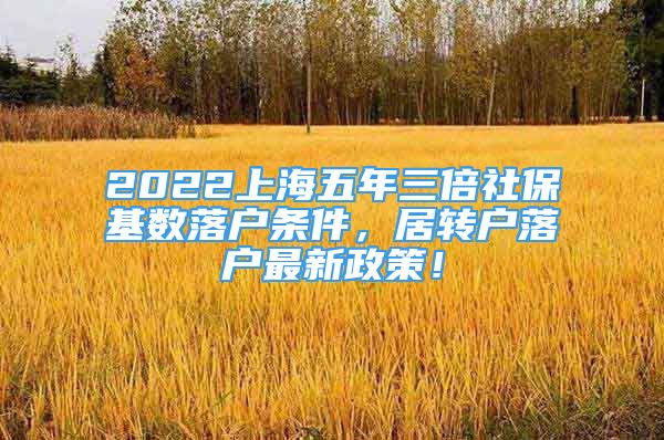 2022上海五年三倍社?；鶖?shù)落戶條件，居轉(zhuǎn)戶落戶最新政策！