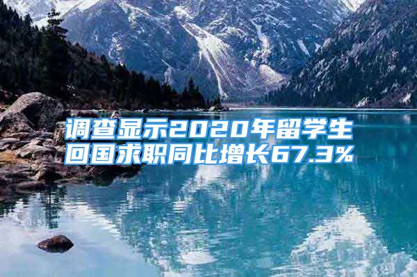 調查顯示2020年留學生回國求職同比增長67.3%