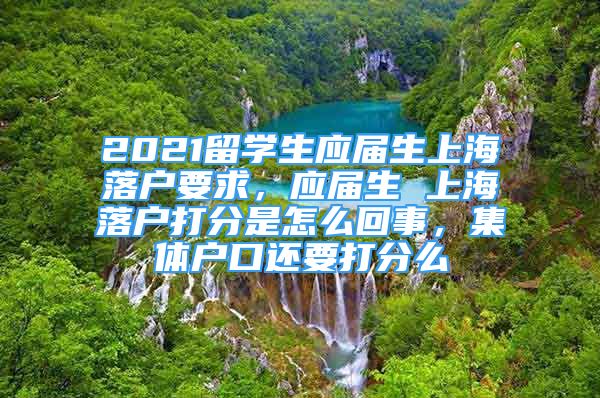 2021留學(xué)生應(yīng)屆生上海落戶要求，應(yīng)屆生 上海落戶打分是怎么回事，集體戶口還要打分么