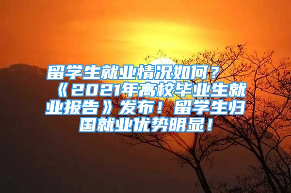 留學(xué)生就業(yè)情況如何？《2021年高校畢業(yè)生就業(yè)報(bào)告》發(fā)布！留學(xué)生歸國(guó)就業(yè)優(yōu)勢(shì)明顯！