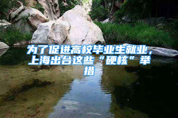 為了促進(jìn)高校畢業(yè)生就業(yè)，上海出臺(tái)這些“硬核”舉措