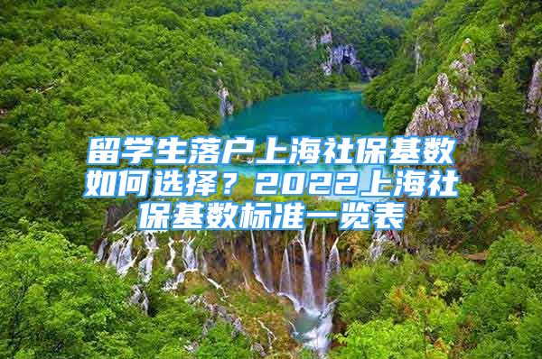 留學(xué)生落戶上海社?；鶖?shù)如何選擇？2022上海社保基數(shù)標(biāo)準(zhǔn)一覽表