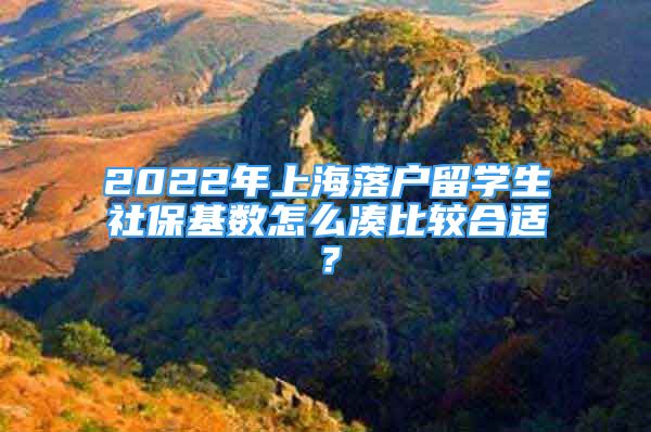 2022年上海落戶留學(xué)生社保基數(shù)怎么湊比較合適？