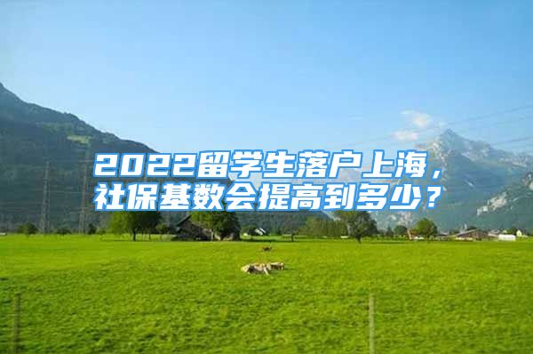 2022留學(xué)生落戶上海，社?；鶖?shù)會提高到多少？