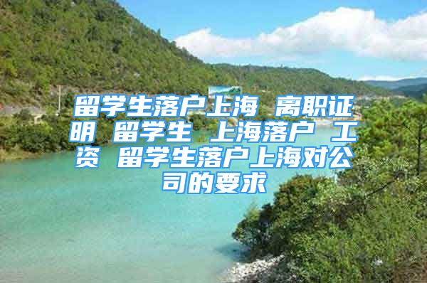 留學生落戶上海 離職證明 留學生 上海落戶 工資 留學生落戶上海對公司的要求