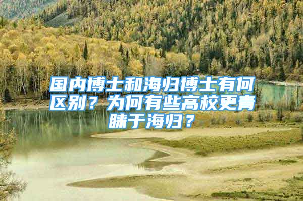 國(guó)內(nèi)博士和海歸博士有何區(qū)別？為何有些高校更青睞于海歸？