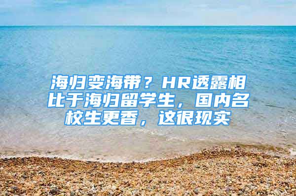 海歸變海帶？HR透露相比于海歸留學(xué)生，國(guó)內(nèi)名校生更香，這很現(xiàn)實(shí)