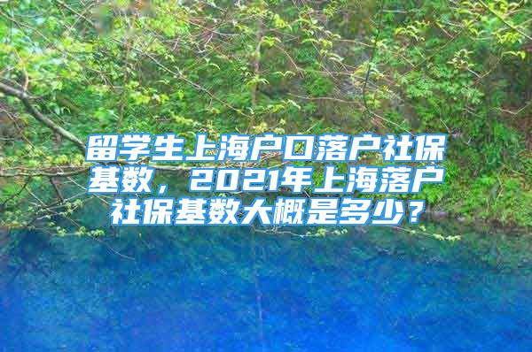 留學(xué)生上海戶口落戶社?；鶖?shù)，2021年上海落戶社?；鶖?shù)大概是多少？